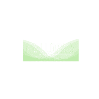 Mallorca taxi van