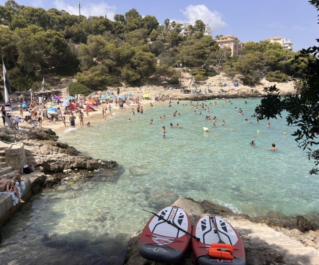Palma Airport to illetals